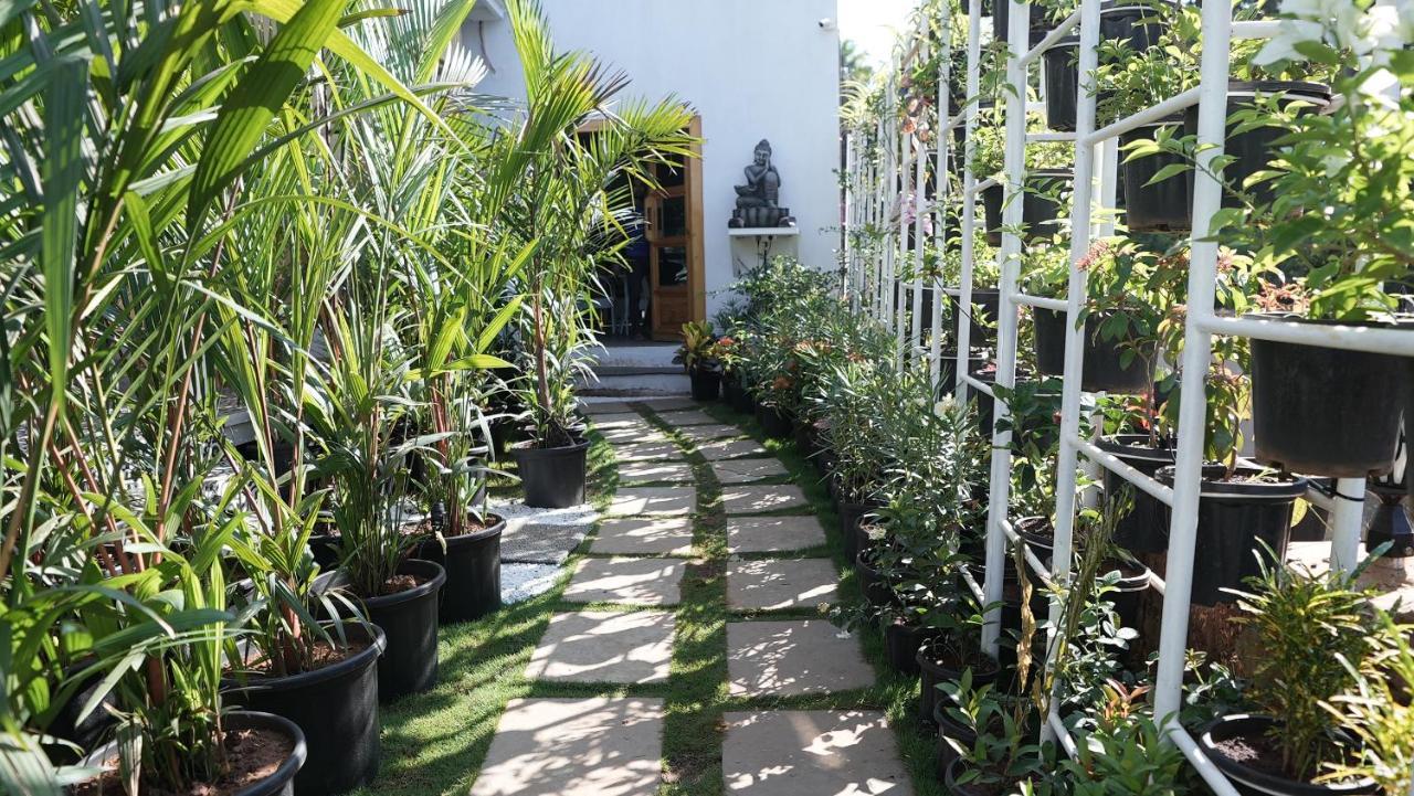 Whiteflower Resort 모르짐 외부 사진